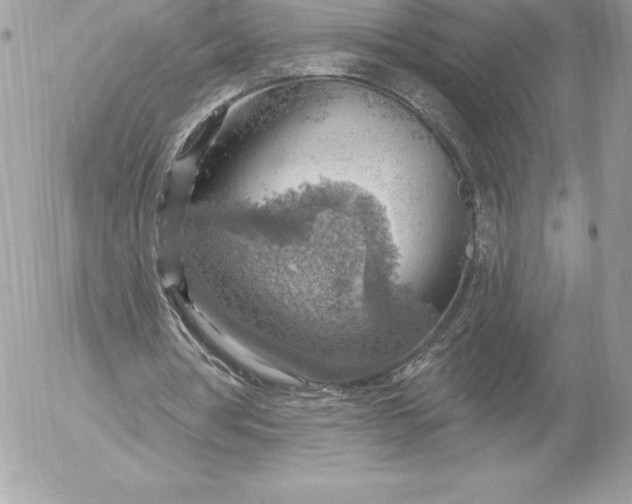 X0000052930386200507221127