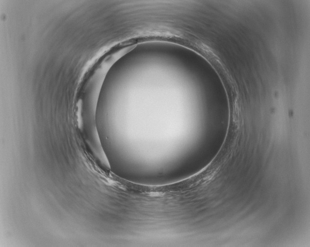 X0000052930388200507221127