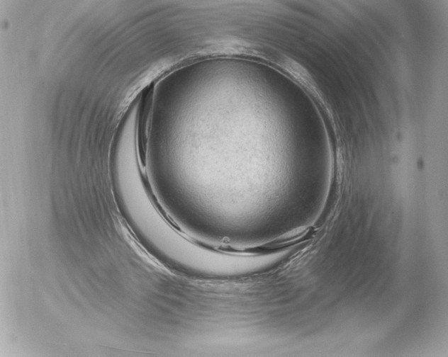 X0000052930389200507221127