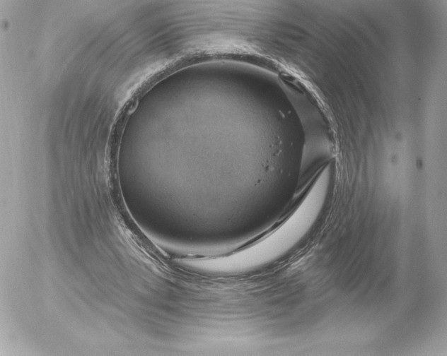 X0000052930391200507221127