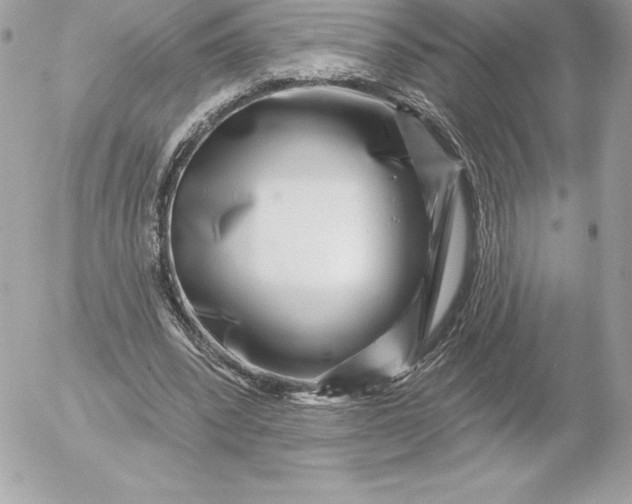 X0000052930392200507221127