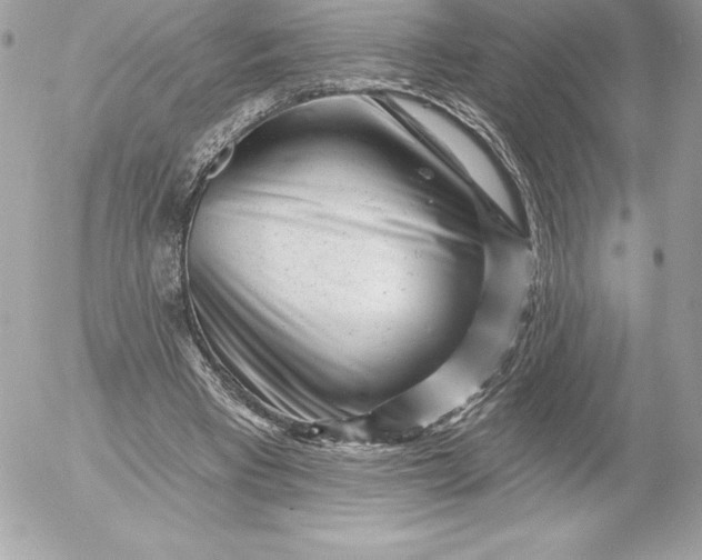 X0000052930393200507221127