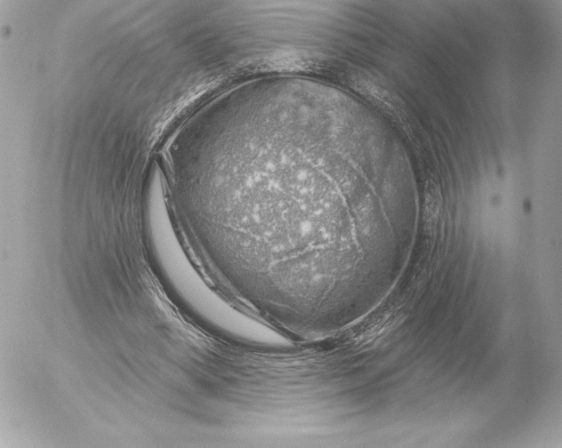 X0000052930394200507221127