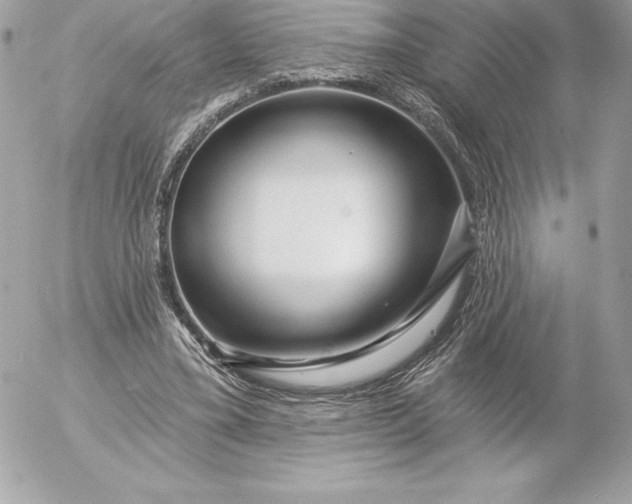 X0000052930395200507221127