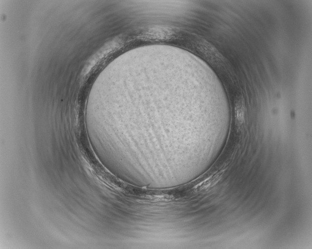 X0000052930396200507221127