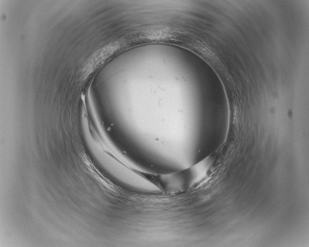 X0000052930397200507221127