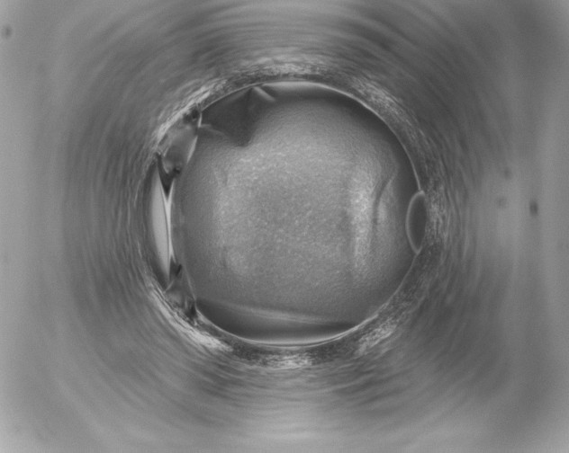 X0000052930398200507221127