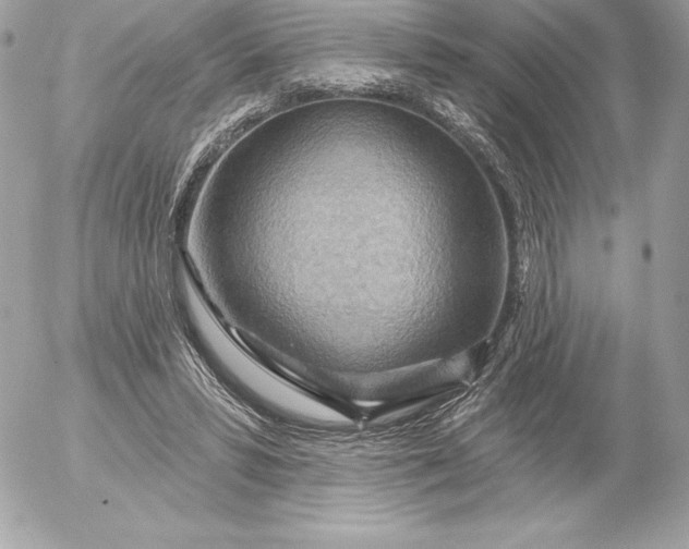 X0000052930399200507221127