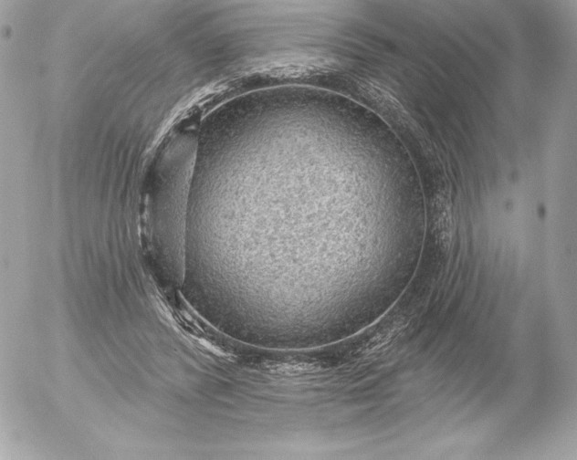 X0000052930400200507221127