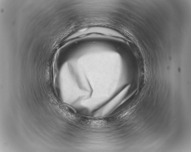 X0000052930401200507221126