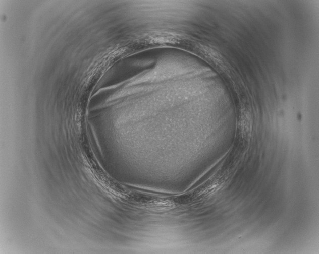 X0000052930402200507221126