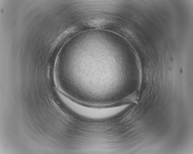 X0000052930404200507221126