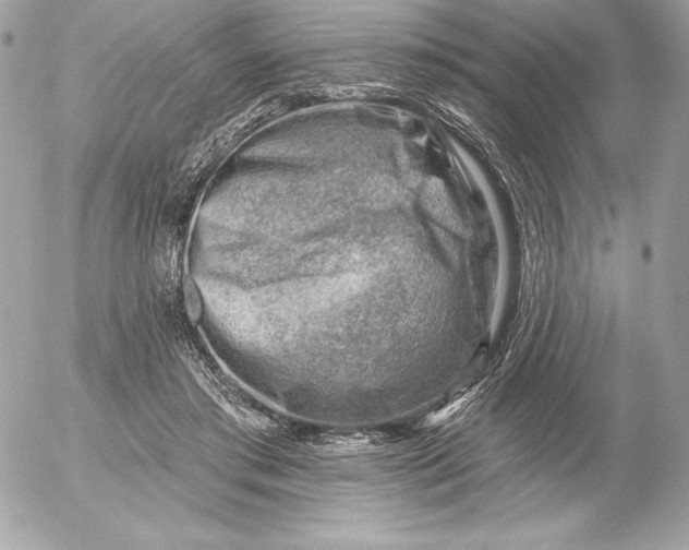 X0000052930405200507221126