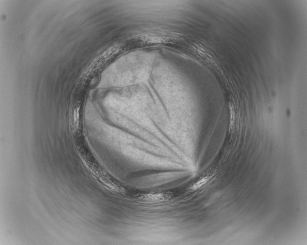 X0000052930406200507221126