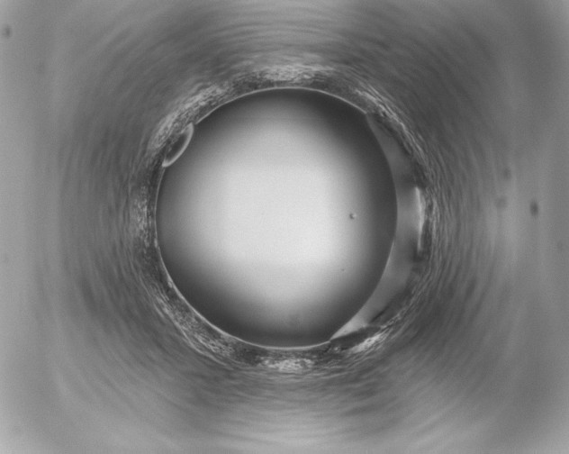 X0000052930407200507221126