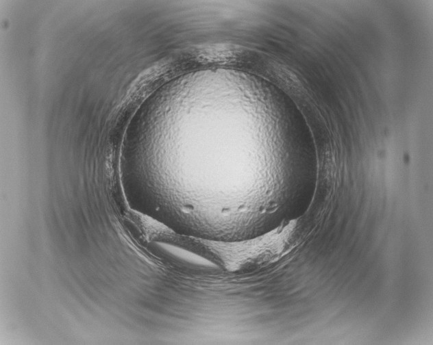 X0000052930408200507221126