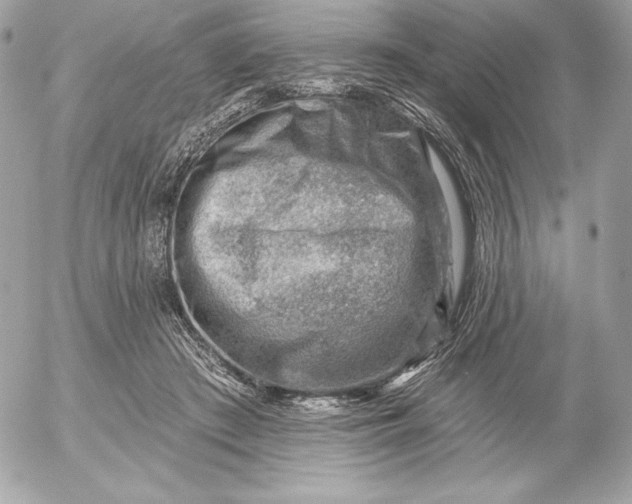 X0000052930409200507221126