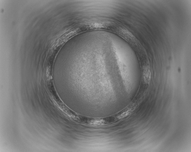 X0000052930410200507221126