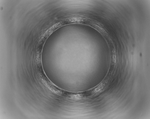 X0000052930411200507221126