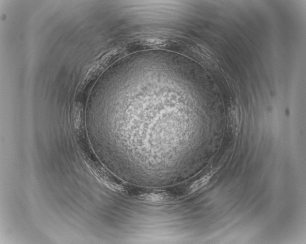 X0000052930412200507221126