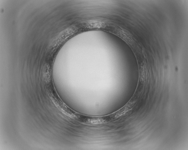 X0000052930414200507221126