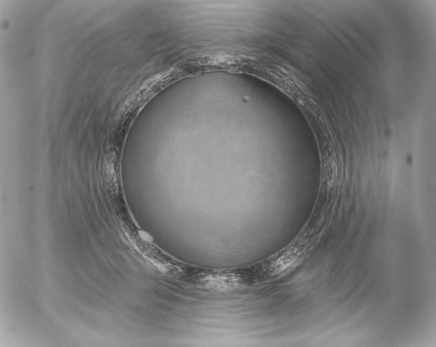 X0000052930415200507221126