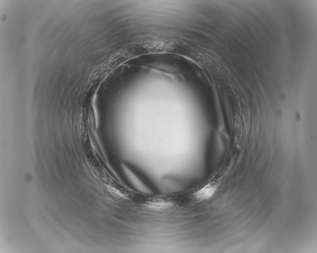 X0000052930416200507221126