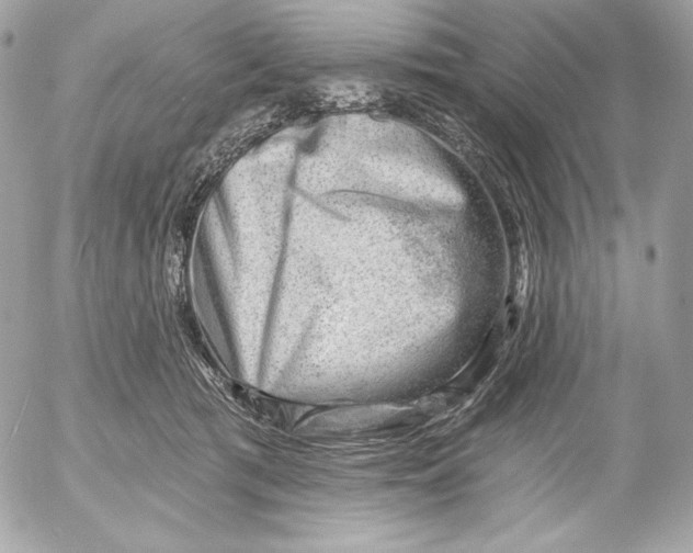 X0000052930417200507221126