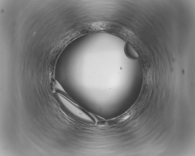 X0000052930418200507221126