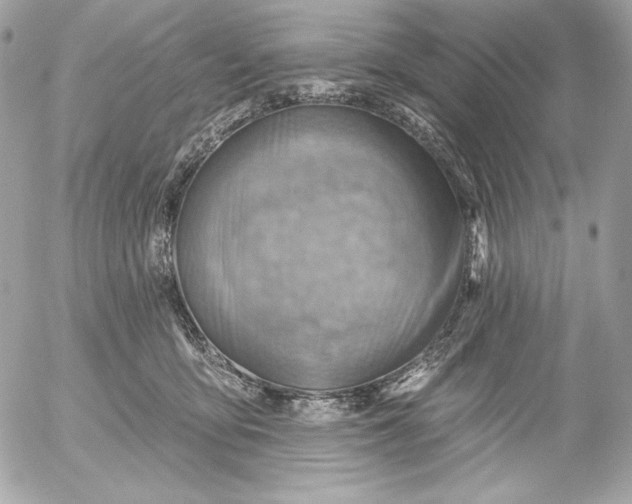 X0000052930419200507221126