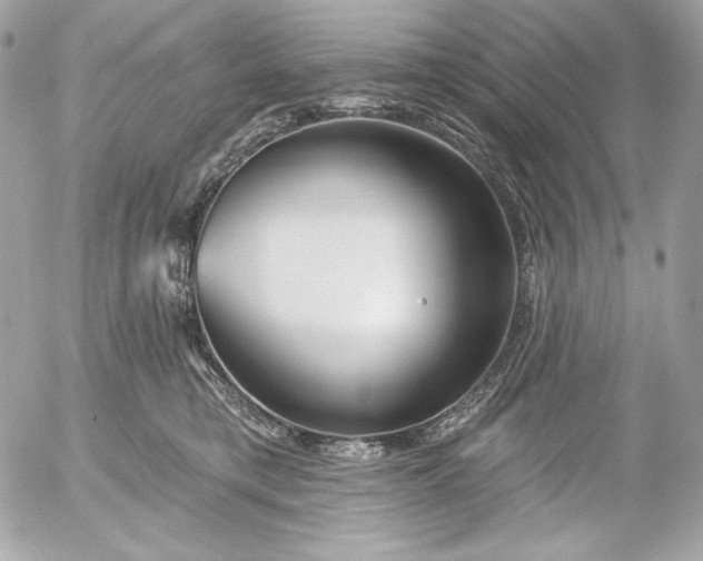 X0000052930421200507221126