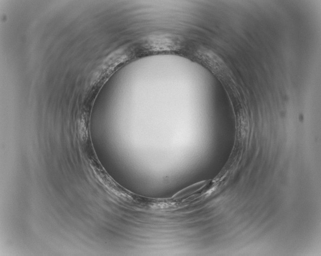 X0000052930422200507221126