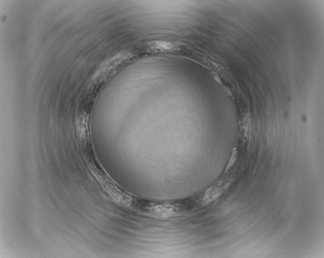 X0000052930423200507221126