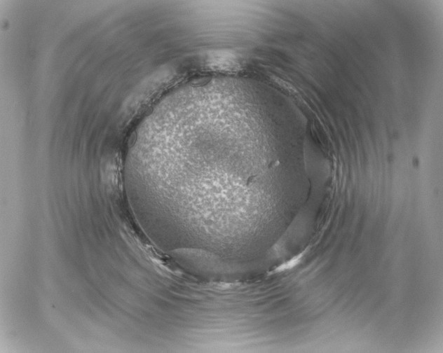 X0000052930424200507221126