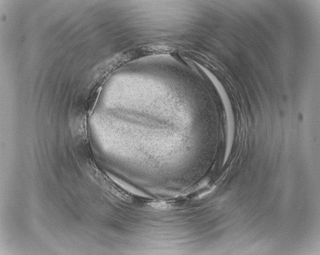 X0000052930425200507221126