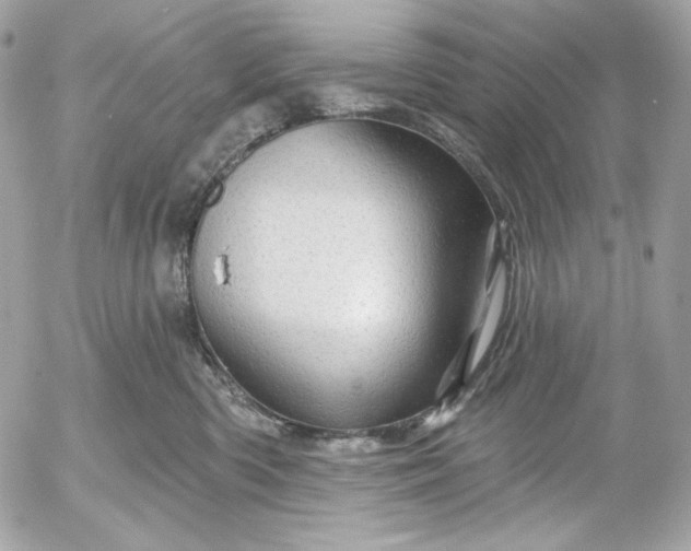 X0000052930426200507221126