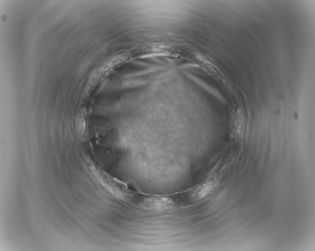 X0000052930427200507221126