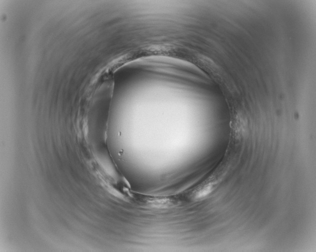 X0000052930428200507221126