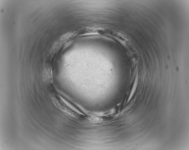 X0000052930429200507221126