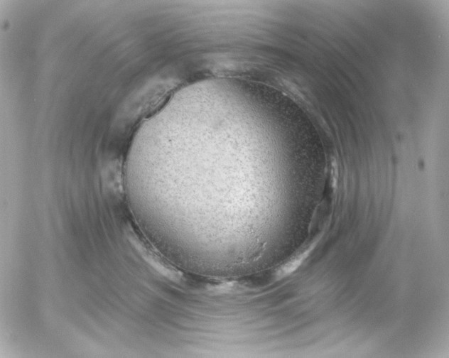 X0000052930430200507221126