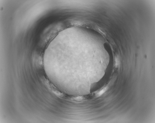 X0000052930431200507221126