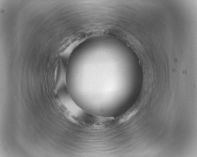 X0000052930432200507221126