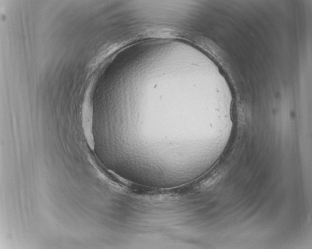 X0000052930433200507221125