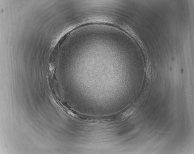 X0000052930434200507221125