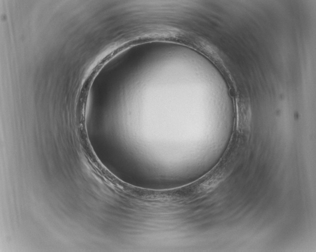 X0000052930435200507221125