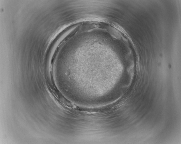 X0000052930436200507221125