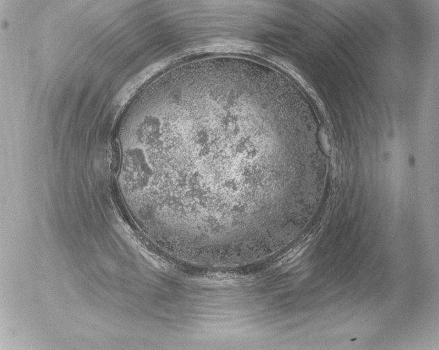 X0000052930437200507221125