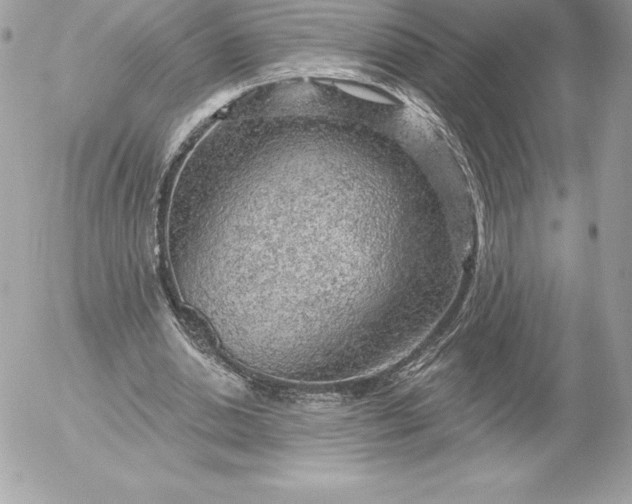 X0000052930438200507221125