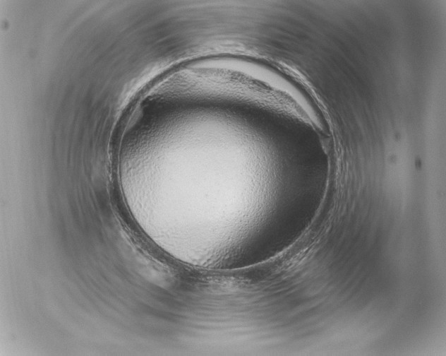 X0000052930439200507221125