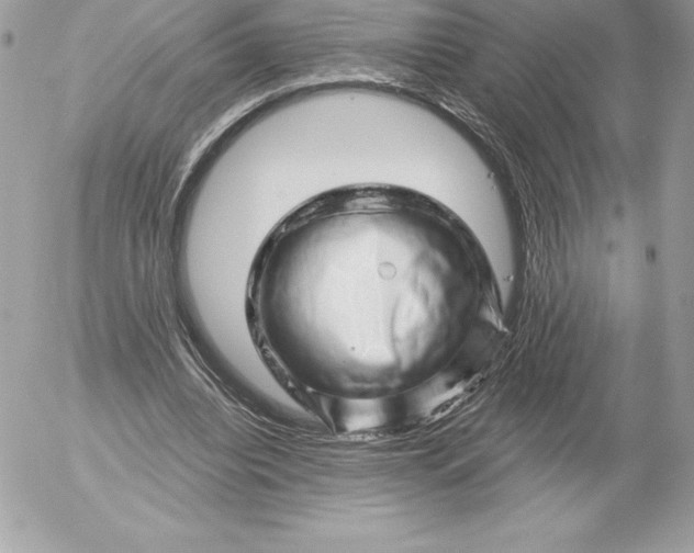 X0000052930440200507221125